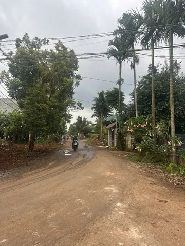 Bất động sản tại Đắk Lắk - ảnh 1