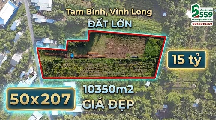 Bất động sản tại Vĩnh Long - ảnh 1