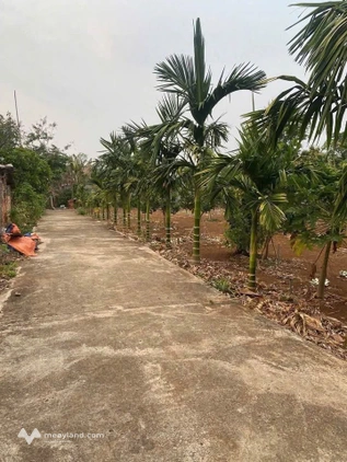 Bất động sản tại Đắk Lắk - ảnh 1