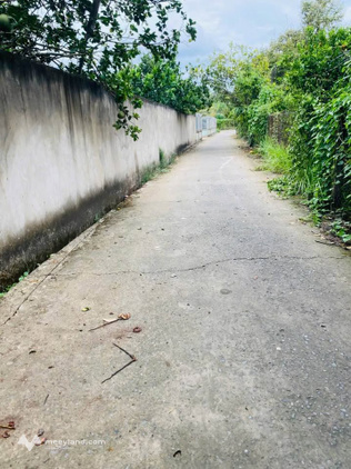 Bất động sản tại Bến Tre - ảnh 1
