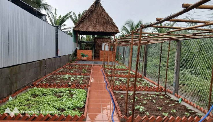 Bất động sản tại Tiền Giang - ảnh 1