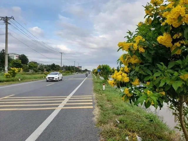 Bất động sản tại Cần Thơ - ảnh 1