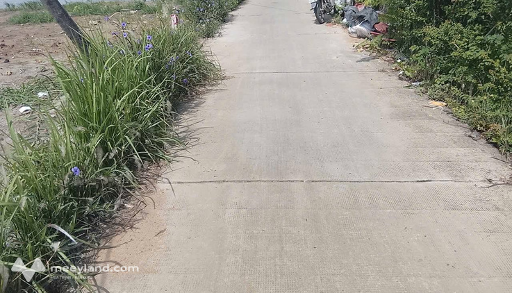 Bất động sản tại Long An - ảnh 1