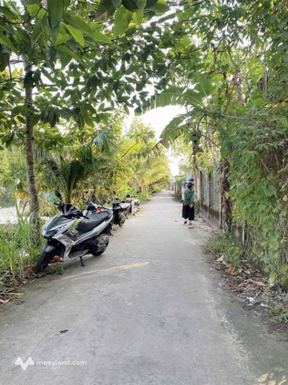 Bất động sản tại Bến Tre - ảnh 1