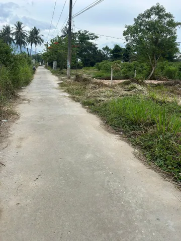 Bất động sản tại Khánh Hòa - ảnh 1