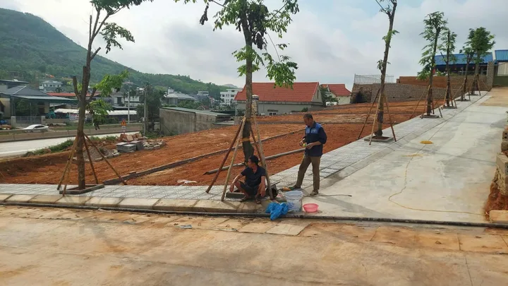 Bất động sản tại Quảng Ninh - ảnh 1