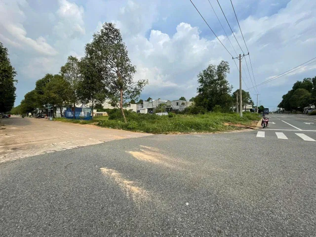 Bất động sản tại Bình Dương - ảnh 1