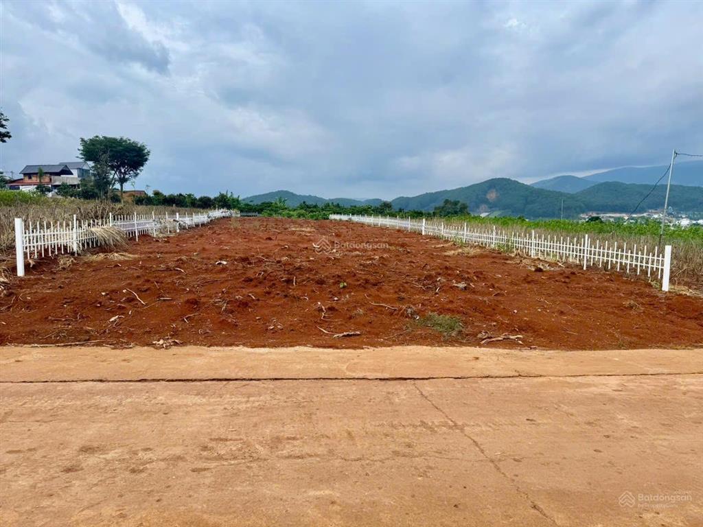Bất động sản tại Lâm Đồng - ảnh 1