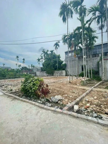 Bất động sản tại Hải Phòng - ảnh 1