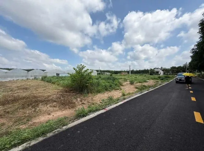 Bất động sản tại Bình Dương - ảnh 1