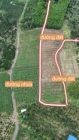 Bất động sản tại Bà Rịa - Vũng Tàu - ảnh 1