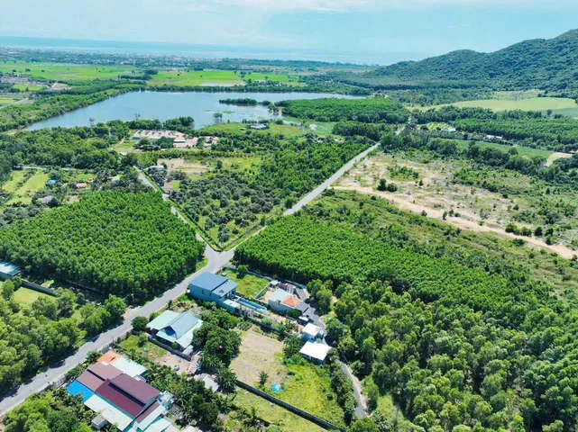 Bất động sản tại Bà Rịa - Vũng Tàu - ảnh 1