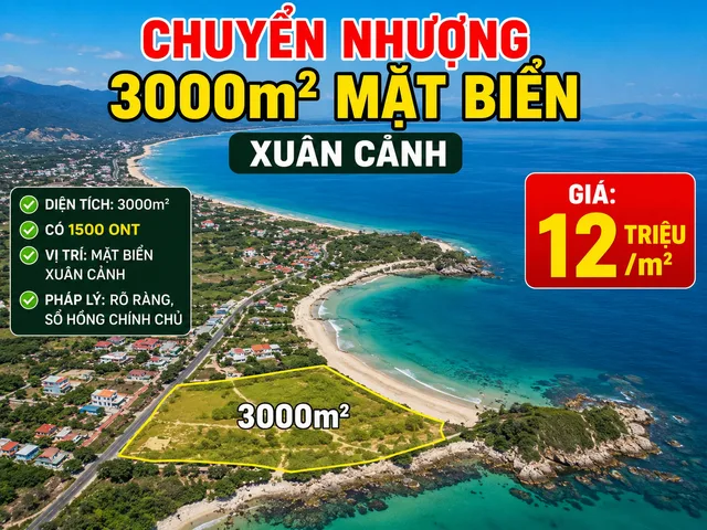 Bất động sản tại Đắk Lắk - ảnh 1