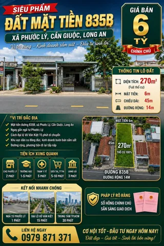 Bất động sản tại Long An - ảnh 1