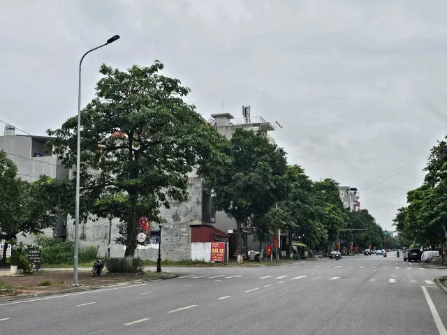 Bất động sản tại Bắc Ninh - ảnh 1