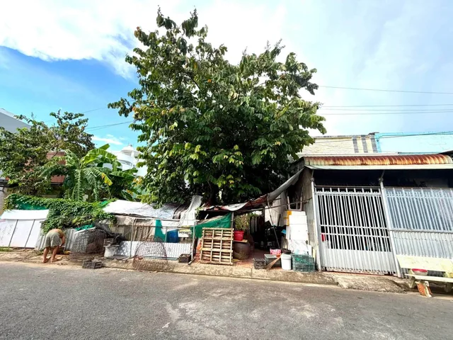 Bất động sản tại Cần Thơ - ảnh 1