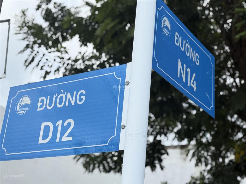 Bất động sản tại Bình Dương - ảnh 1