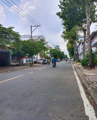 Bất động sản tại Đồng Tháp - ảnh 1