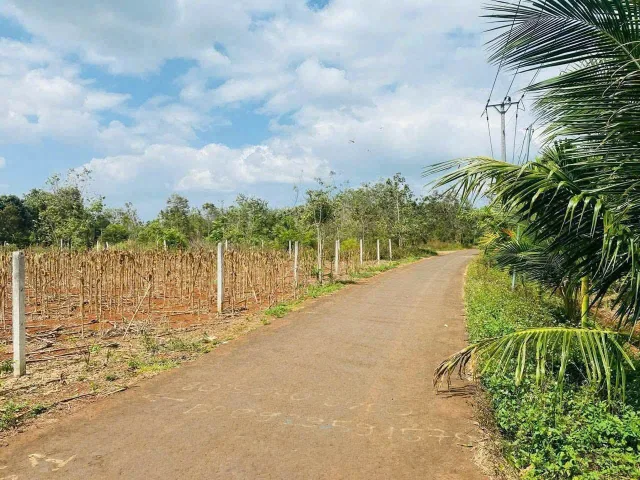 Bất động sản tại Đắk Lắk - ảnh 1