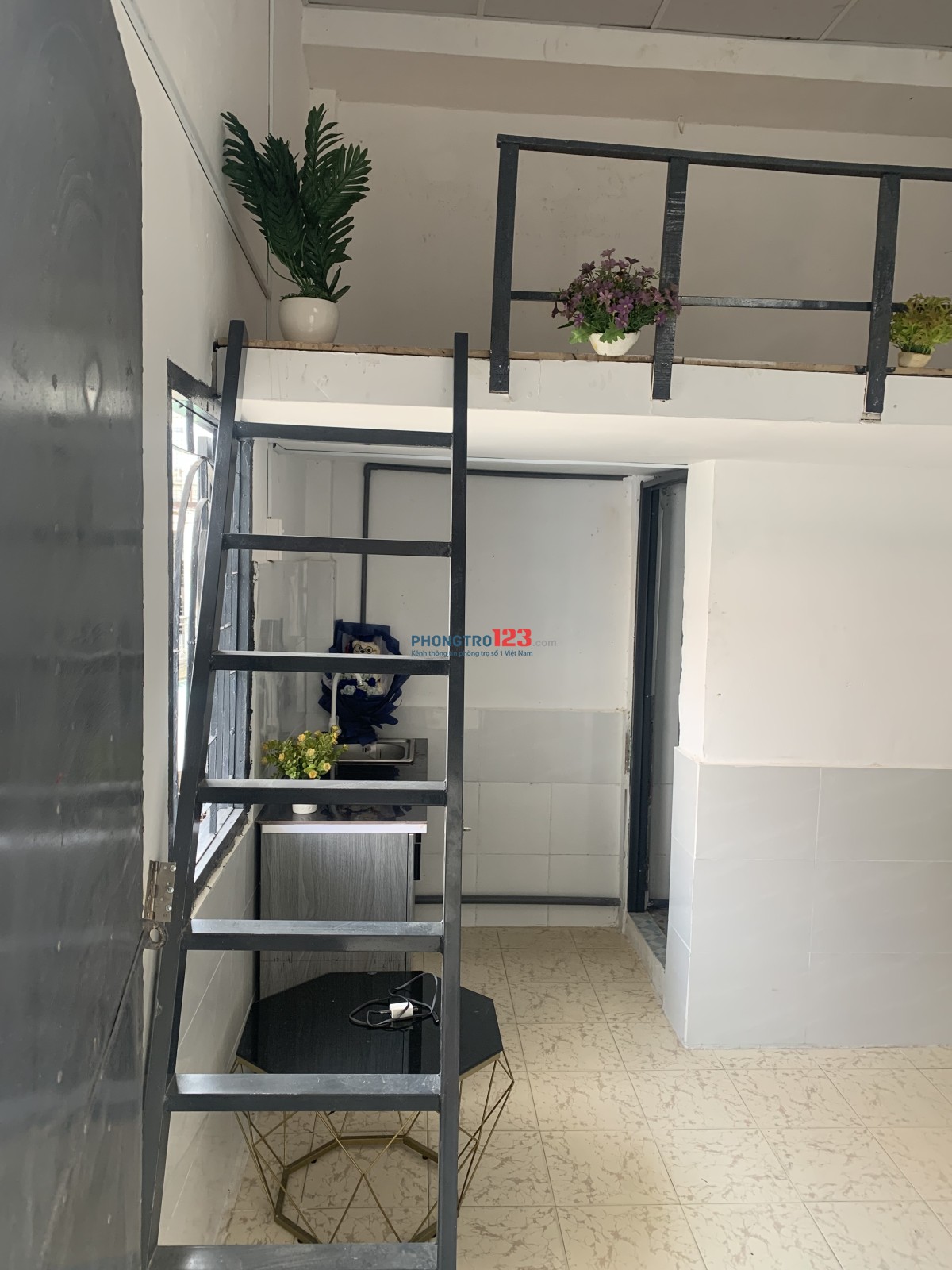 Bất động sản tại TP. Hồ Chí Minh - ảnh 1