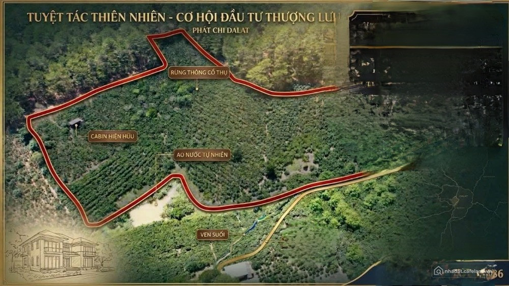 Bất động sản tại Lâm Đồng - ảnh 1