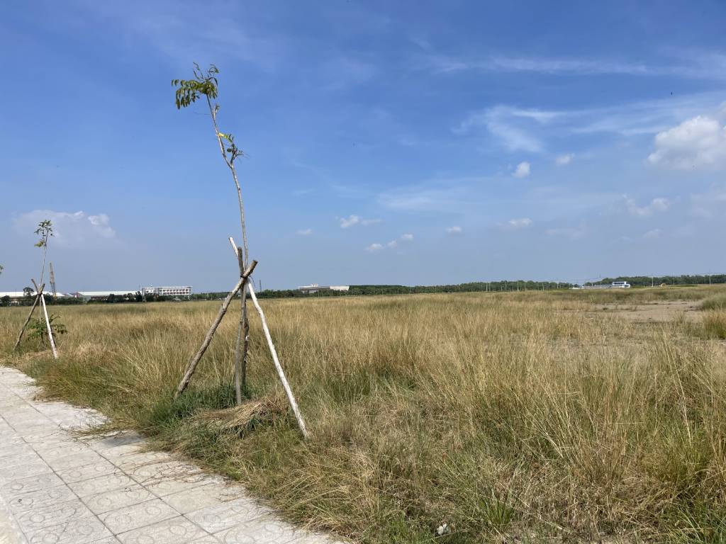Bất động sản tại Long An - ảnh 1