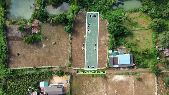 Bất động sản tại Đắk Lắk - ảnh 1