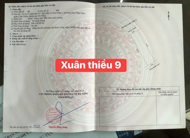 Bất động sản tại Đà Nẵng - ảnh 1