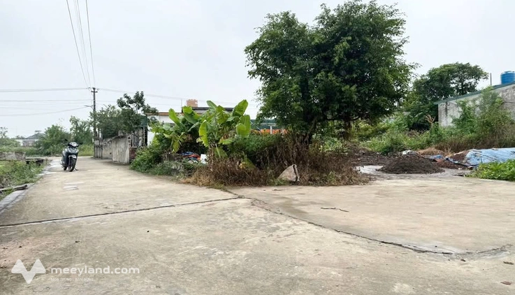Bất động sản tại Thái Bình - ảnh 1