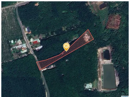Bất động sản tại Bình Phước - ảnh 1
