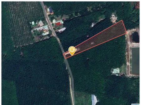 Bất động sản tại Bình Phước - ảnh 1