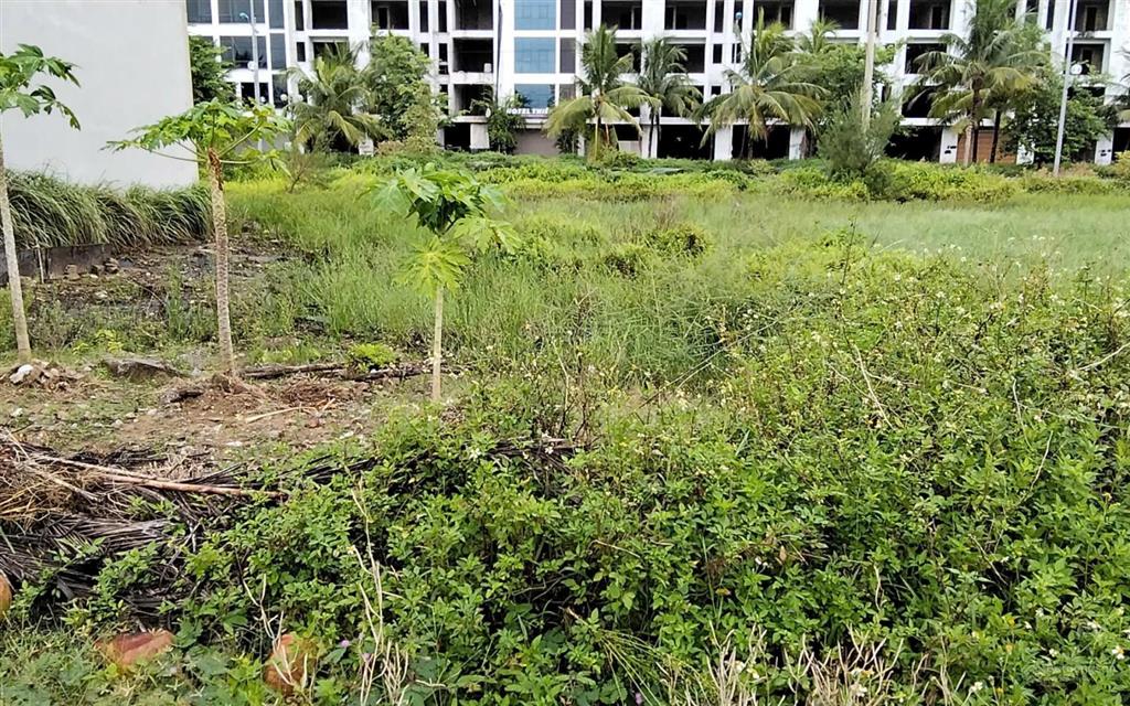 Bất động sản tại Thanh Hóa - ảnh 1