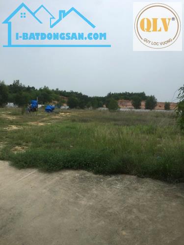 Bất động sản tại Bình Dương - ảnh 1