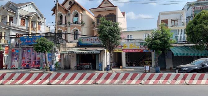 Bất động sản tại Bình Dương - ảnh 1