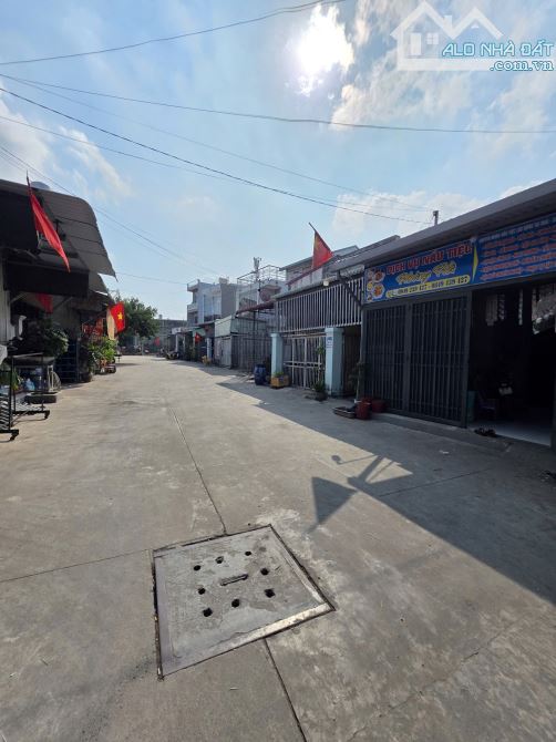 Bất động sản tại Bình Dương - ảnh 1