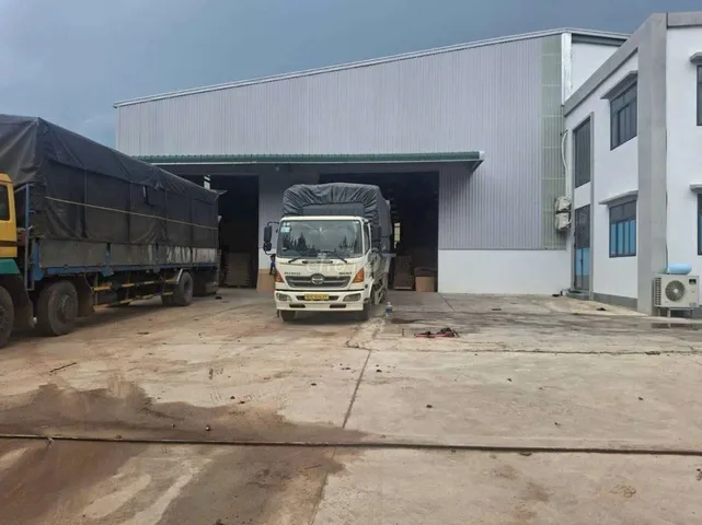Bất động sản tại Bình Dương - ảnh 1