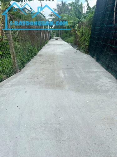 Bất động sản tại Long An - ảnh 1