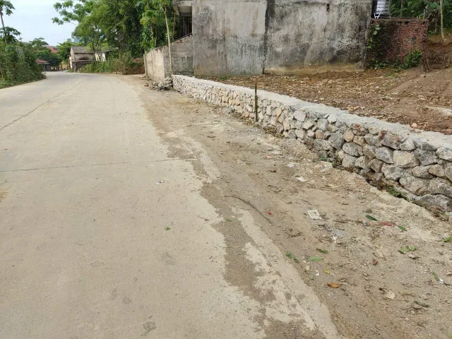 Bất động sản tại Phú Thọ - ảnh 1