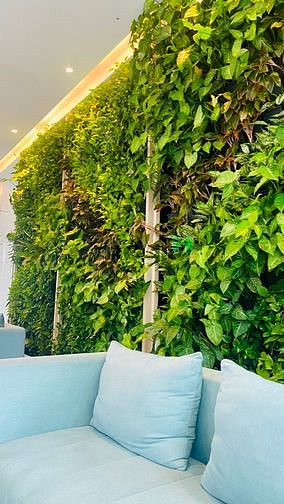 Căn hộ / chung cư tại 10, TP. Hồ Chí Minh - ảnh 3