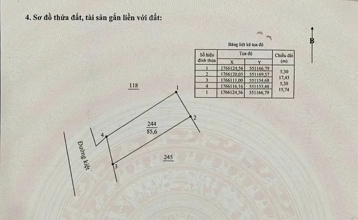 Bất động sản tại Đà Nẵng - ảnh 1
