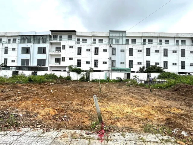 Bất động sản tại Đà Nẵng - ảnh 1