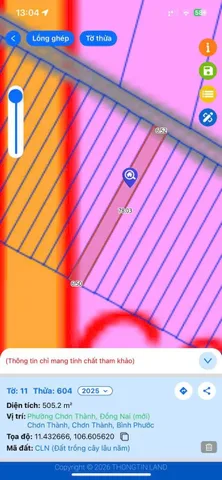Bất động sản tại Đồng Nai - ảnh 1