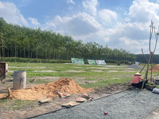 Bất động sản tại Bình Phước - ảnh 1