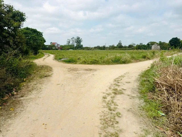 Bất động sản tại Đắk Lắk - ảnh 1
