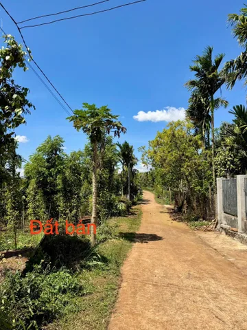 Bất động sản tại Đắk Lắk - ảnh 1