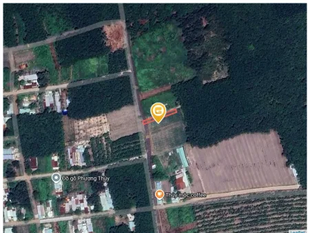 Bất động sản tại Bình Dương - ảnh 1