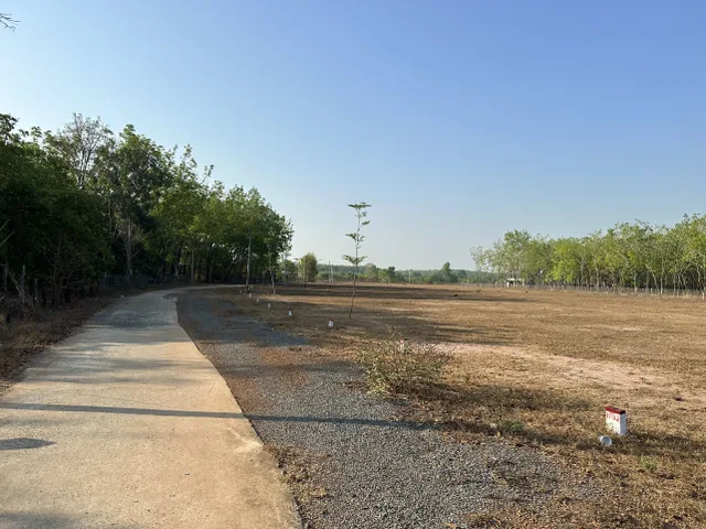 Bất động sản tại Bình Phước - ảnh 1
