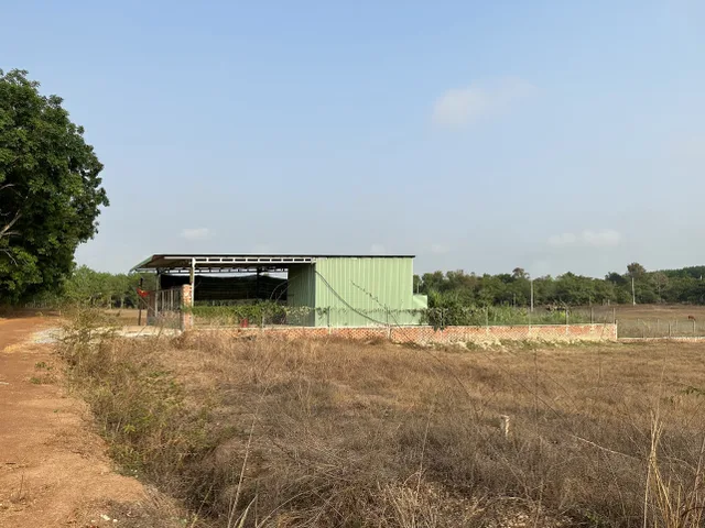 Bất động sản tại Bình Phước - ảnh 1