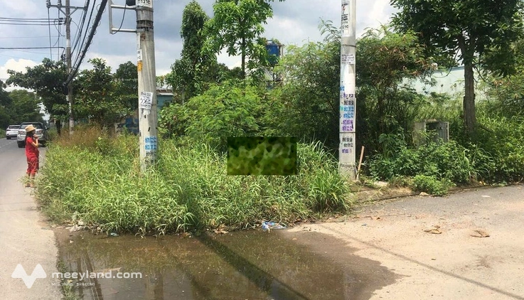 Bất động sản tại TP. Hồ Chí Minh - ảnh 1