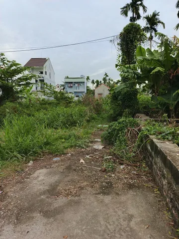 Bất động sản tại Hải Phòng - ảnh 1